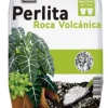 Perlita Natural x 1 Kg Mejora la Aireación del Suelo para tus Plantas