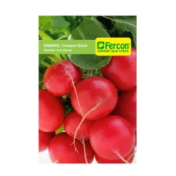 Rabano Crimpson Giant 2 gr | Semillas Jardín | Tierragro Colombia