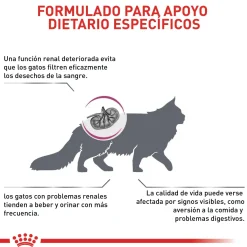 Renal Special Cat Gato Renal Royal Canin 2Kg