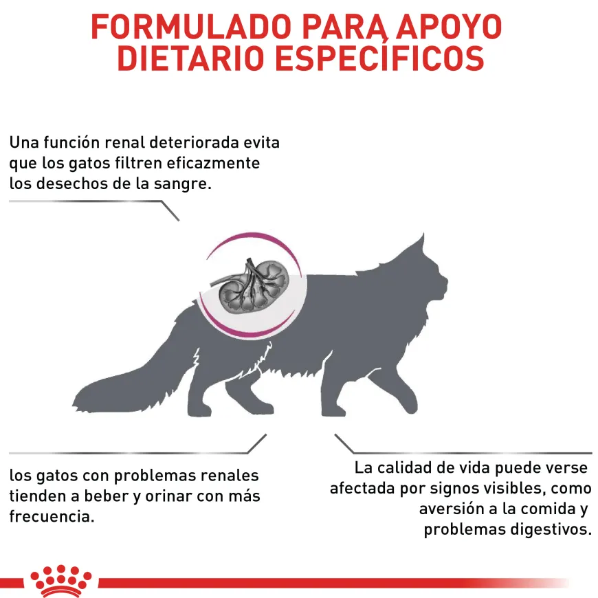 Renal Special Cat Gato Renal Royal Canin 2Kg