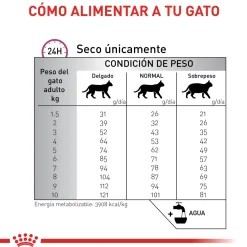 Renal Special Cat Gato Renal Royal Canin 2Kg