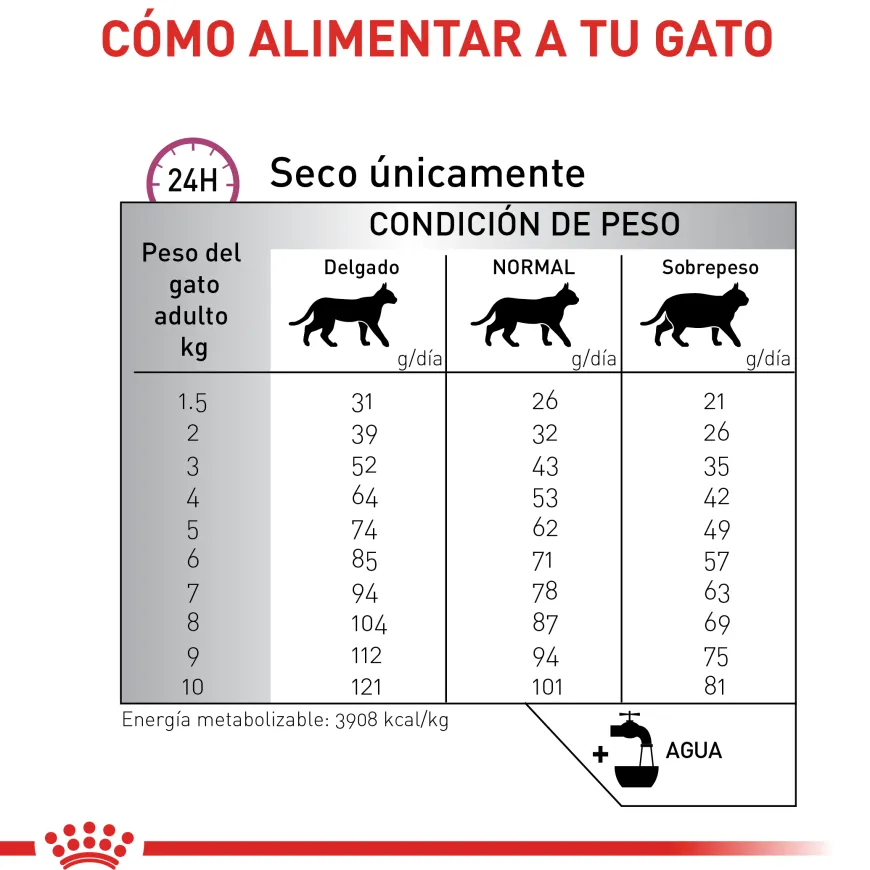 Renal Special Cat Gato Renal Royal Canin 2Kg