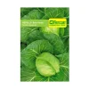 Repollo Bola Verde 3 gr | Semillas Jardín | Tierragro Colombia
