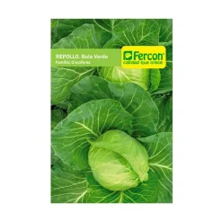 Repollo Bola Verde 3 gr | Semillas Jardín | Tierragro Colombia