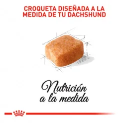 Royal Canin Dachshund Adulto Alimento Especializado Perros Salchichas