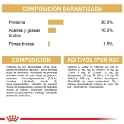 Royal Canin Dachshund Puppy Alimento Especializado Salchicha Cachorros