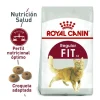 Royal Canin Gato Nutrition Fit 32