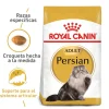 Royal Canin Persian Adulto 2Kg