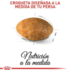 Royal Canin Persian Adulto 2Kg