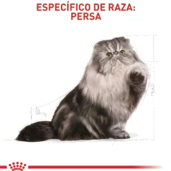 Royal Canin Persian Adulto 2Kg