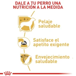 Royal Canin Yorkshire Terrier 4.54Kg