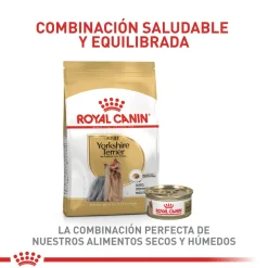 Royal Canin Yorkshire Terrier 4.54Kg