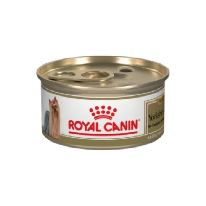 Royal Canin Yorkshire Lata 85G