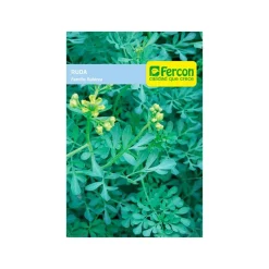 Ruda 0.3 gr | Semillas Jardín | Tierragro Colombia