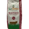 Semillas de Pasto Brachiara Decumbens 1 kg para Jardín | Tierragro