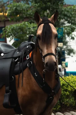 Silla Indiana Cabalgata Mesace Montura Liviana y Resistente TIERRAGRO