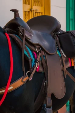 Silla para Mule Cabalgata Mesace Montura Liviana y Resistente