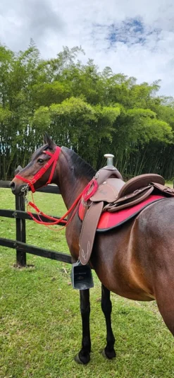 Silla Sabanera Vaquería Mesace Resistente, Liviana e Impermeable