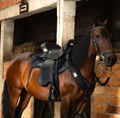 Tereque Tronador Plus Cabalgata Mesace Resistencia y Confort en una Silla Premium