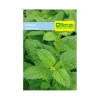 Toronjil 0.3 gr | Semillas Jardín | Tierragro Colombia