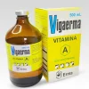 Vigaerma Inyectable 500 ml: Suplemento Equinos con Vitamina A y E.