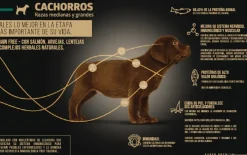 Wellness Alimento Seco Super Premiun Perros Cachorros Mediano y Grande