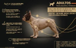Wellness Alimento Seco Super Premiun Perros Adultos Pequeños y Mini