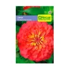Zinnia Flor Gigante Rojo Escarlata 0.5 gr | Semillas Jardín | Tierragro Colombia