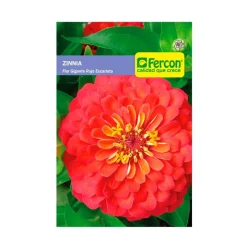 Zinnia Flor Gigante Rojo Escarlata 0.5 gr | Semillas Jardín | Tierragro Colombia